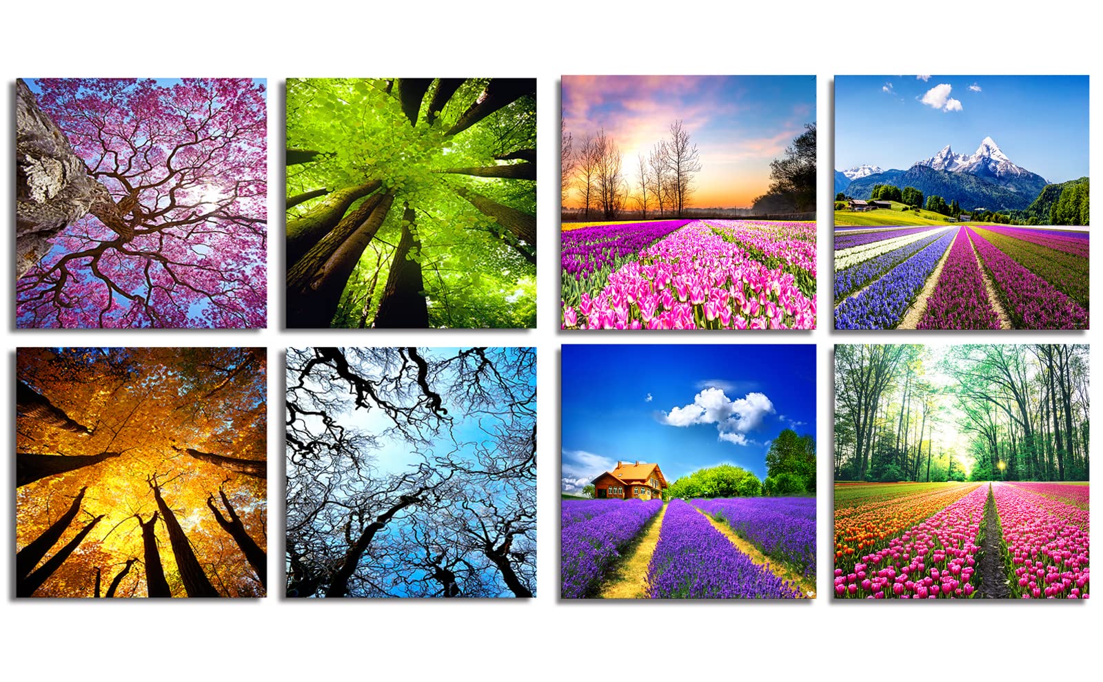 Vibrant Tulip Canvas Wall Art & Colorful Tree Painting - Nature Forest Prints for Living Room Decor | Perfect for Home, Office & Bedroom Wall Decor