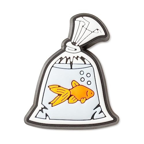 Gold Fish in Baggy