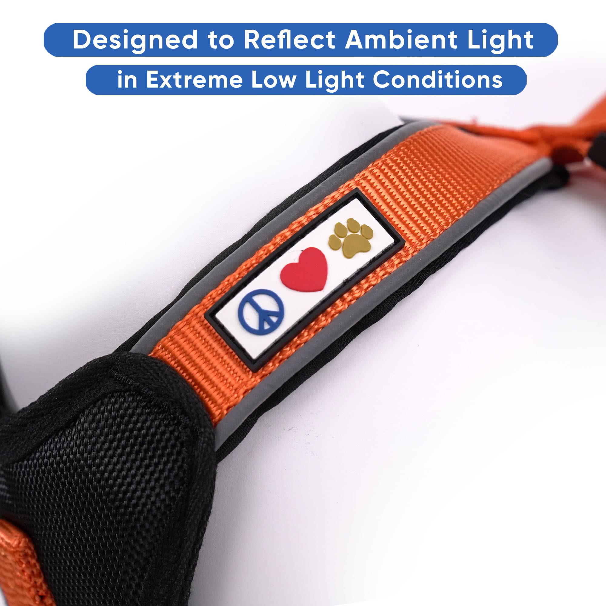Pawtitas Small Dog Harness and Collar Set with Leash - Orange Padded Value Bundle for Small Dogs | Perfect for Walking, Training, and Outdoor Adventures