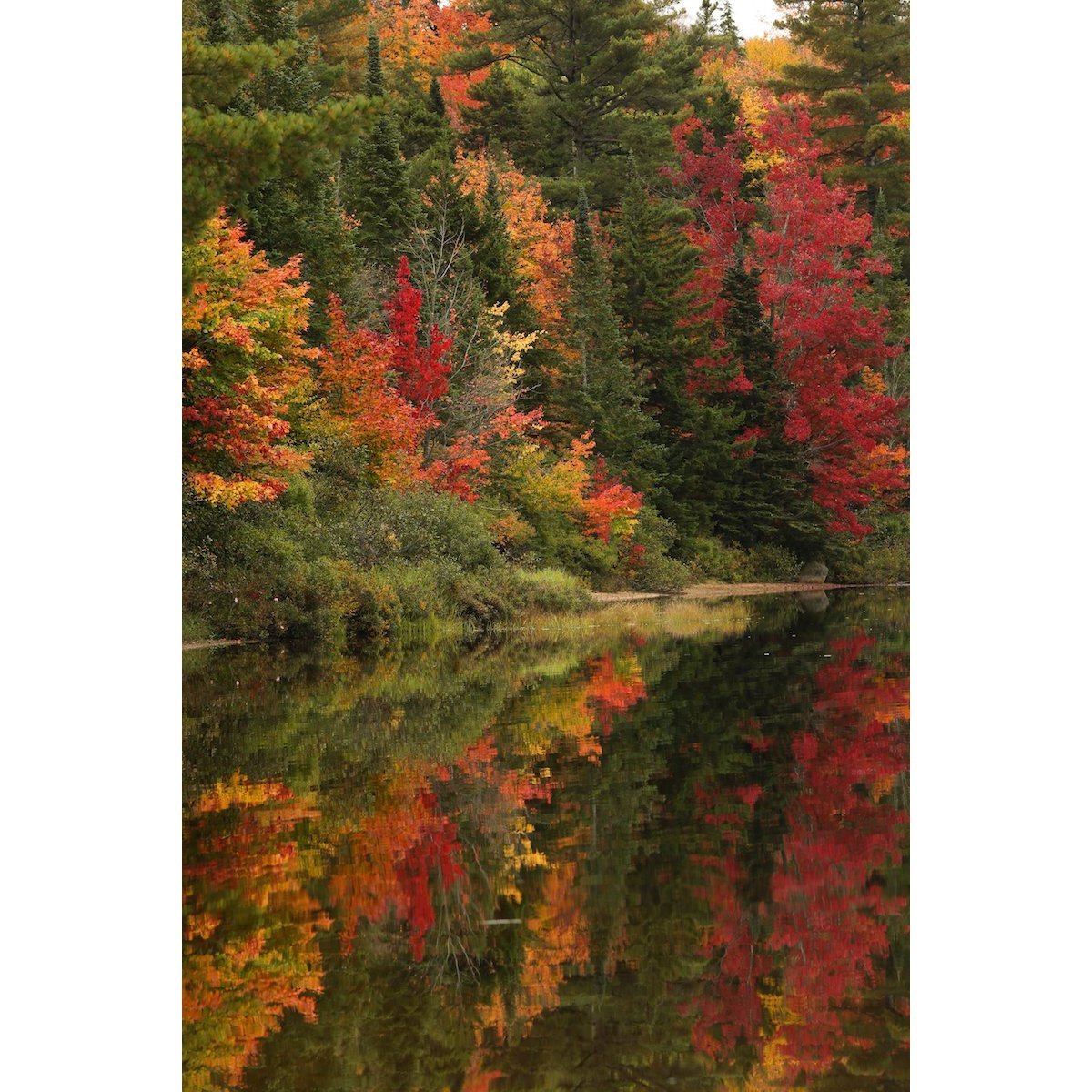 Autumn Reflection Wall Art - Handmade Fall Decor for Home & Office - Perfect for Thanksgiving, Living Room, Bedroom & Seasonal Decorations