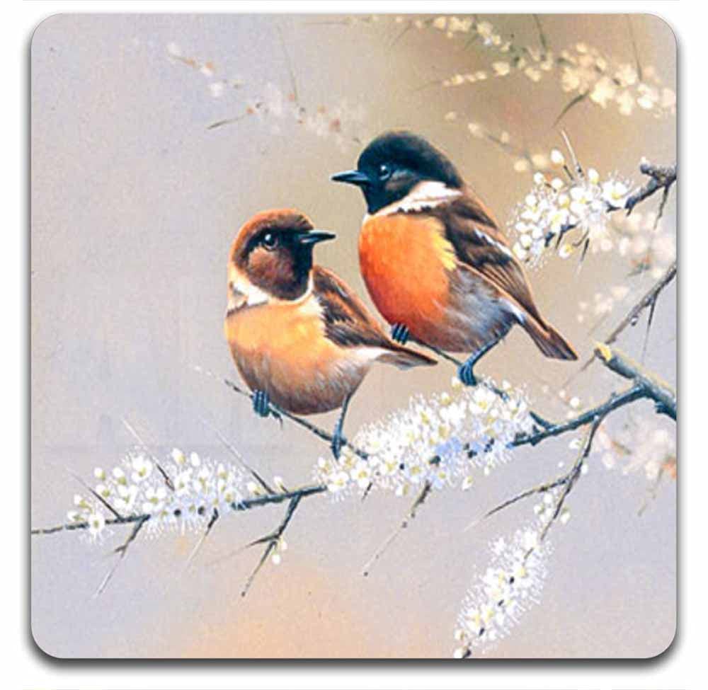 Eco-Friendly Artistic Bird Square Coaster Set - 4-Pack Polyester Fabric & Recycled Rubber Drink Coasters for Home, Office, and Party Decor