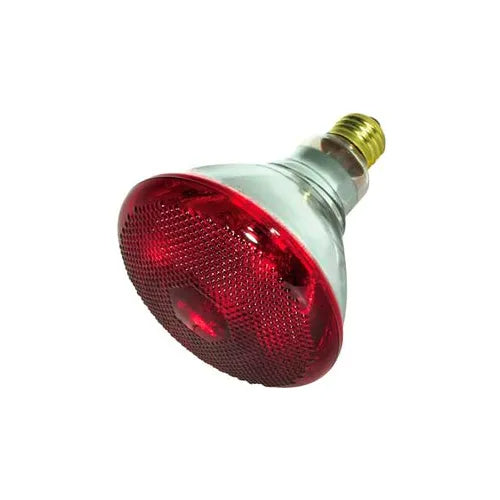 B693 LED Light Bulb - Energy Efficient, Long Lasting Replacement Bulb for Home & Office Lighting - Perfect for Lamps, Ceiling Fixtures, and Outdoor Lights