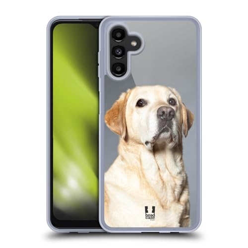 Blonde Labrador Retriever Dog