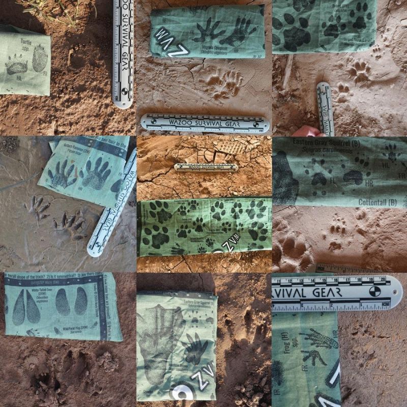 Wazoo Survival Gear Tracking Bandana - Durable & Lightweight for Outdoor Adventures, Hunting, and Emergency Preparedness