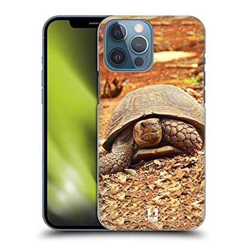 Crawling Tortoise