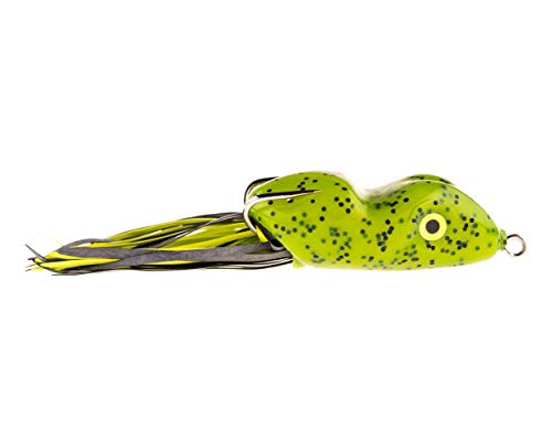 Watermelon Seed
