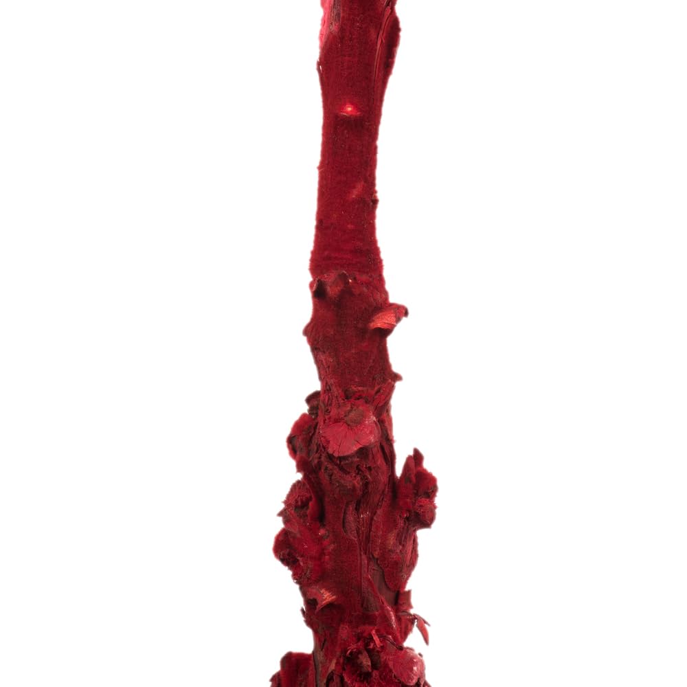 Vickerman 8 Inch Artificial Dried Red Queen Protea Flower - Perfect for Home Decor, Wedding Centerpieces, and DIY Floral Arrangements