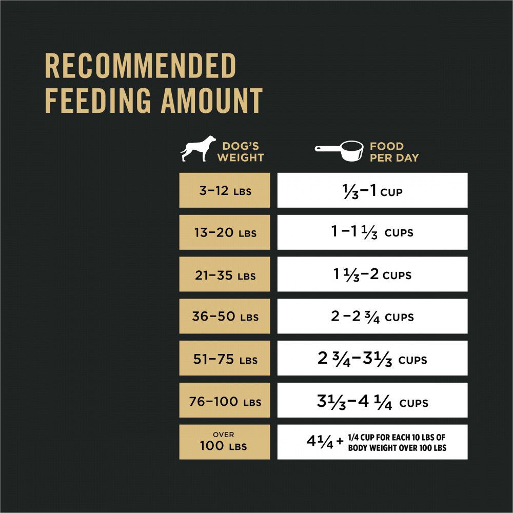 Purina Pro Plan Sensitive Skin & Stomach Dry Dog Food - Turkey & Oatmeal Formula for Digestive Health | Ideal for Dogs with Allergies & Sensitive Stomachs | Perfect for Daily Feeding & Digestive Support