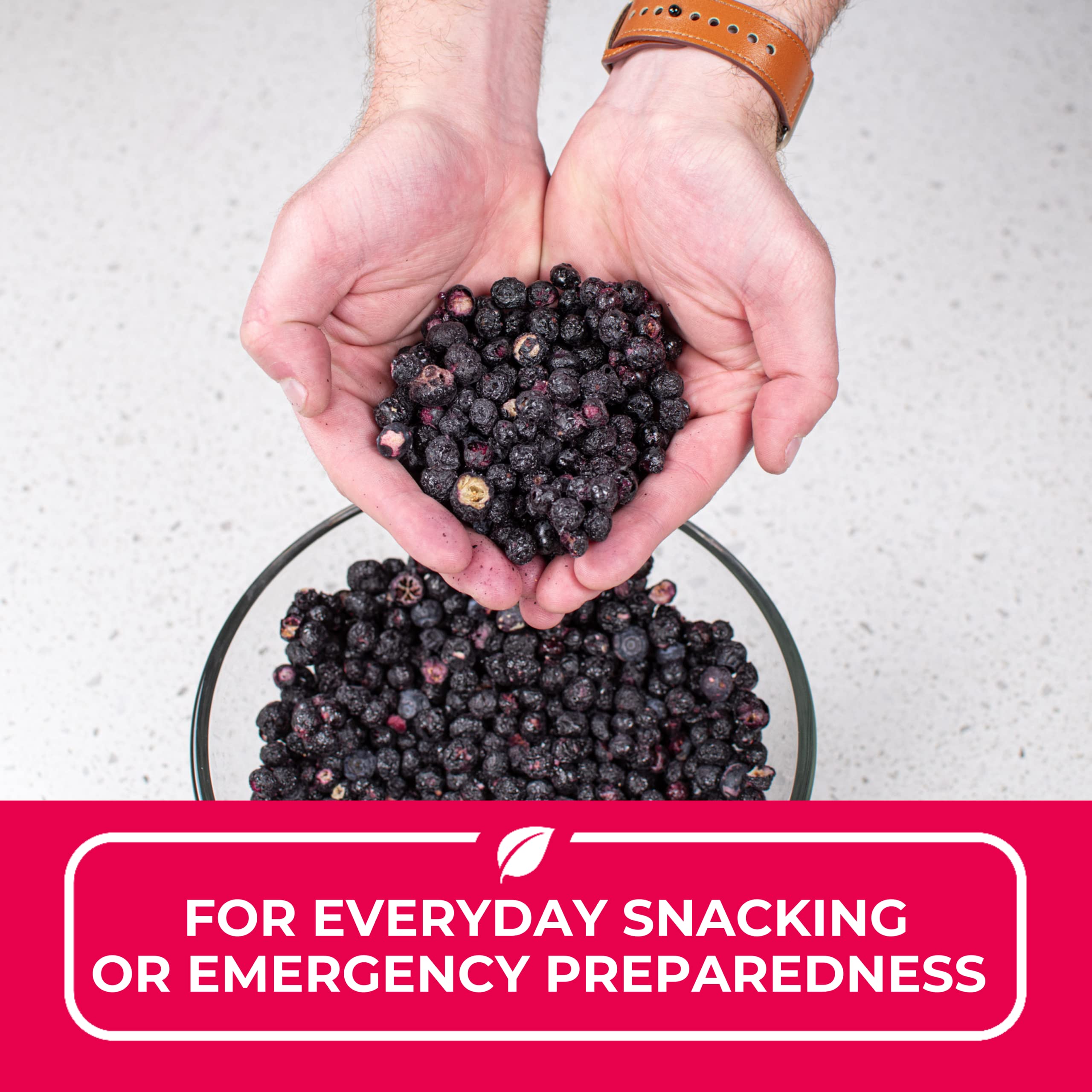 Nutristore Freeze Dried Blueberries 4 Pack - #10 Can Fruit | Healthy Low Carb Snacks | Emergency Food Storage with 25 Year Shelf Life | Perfect for Camping, Hiking & Survival Kits