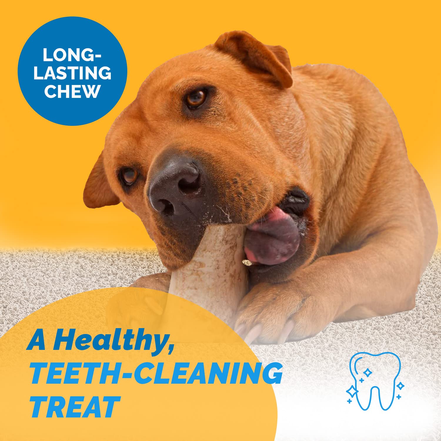 Premium Natural Beef Marrow Bones for Dogs - 3-4 Inch (6 Count) | Healthy, Digestible Dog Treats | Long-Lasting Chew Bones for Dental Health | Perfect for Training Rewards & Anxiety Relief
