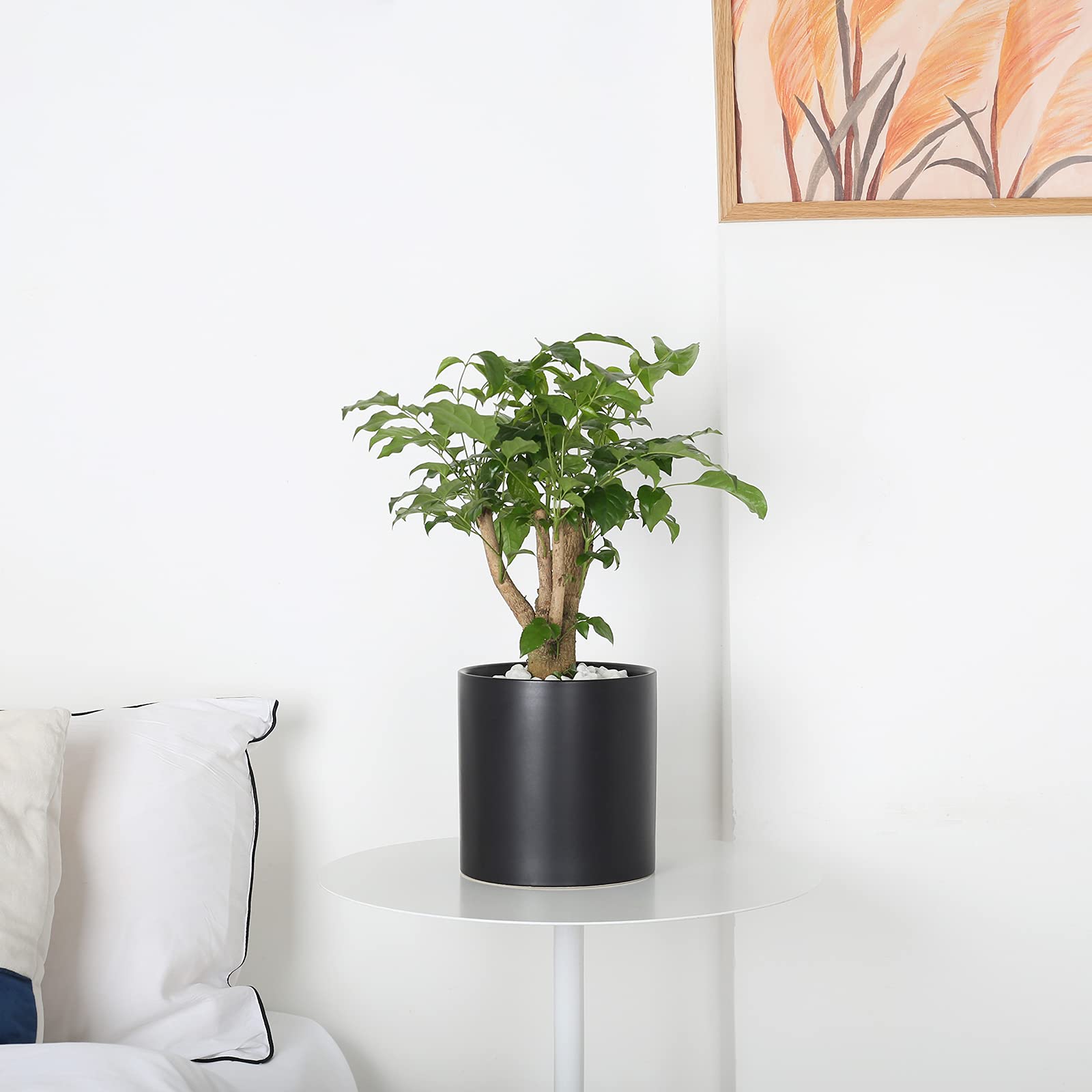 5.9 Inch Modern Black Ceramic Plant Pot with Drainage Hole & Plug - Indoor Flower Planter for Succulents, Herbs & Home Decor