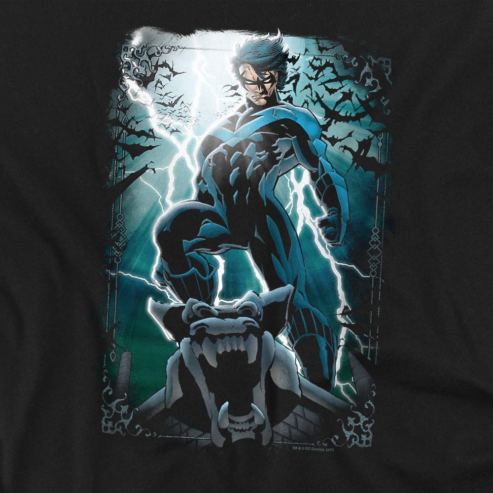 Batman Nightwing LED Night Light - Unisex Adult T-Shirt for Men & Women | Superhero Gift for Fans, Cosplay & Comic Con