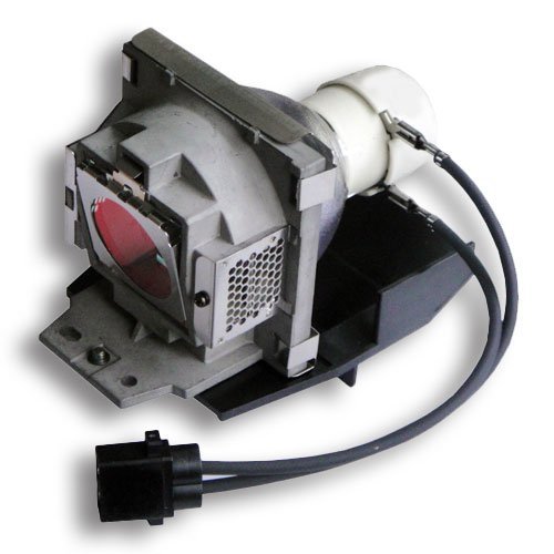 BenQ 9E.08001.001 OEM Replacement Projector Lamp Bulb - Original Bulb & Housing for BenQ Projectors | Home Theater, Office Presentations & Classroom Use