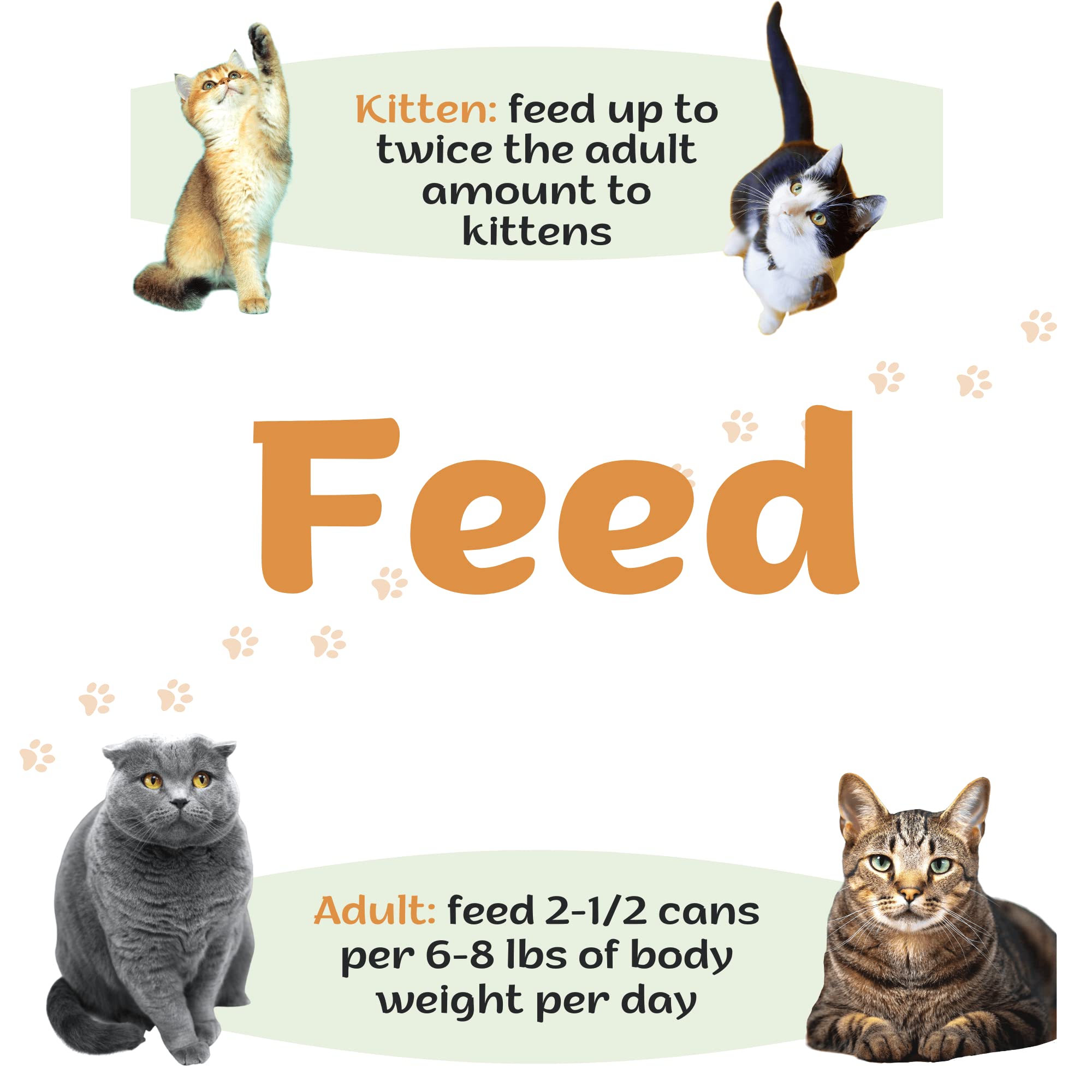 Premium CAT Food 5.5 OZ (15 Pack) Ocean Whitefish & Tuna Entree with Free Squeeze UP (4 UN) - High Protein Wet Cat Food for Adult & Senior Cats - Perfect for Mealtime, Travel & Treat Rewards