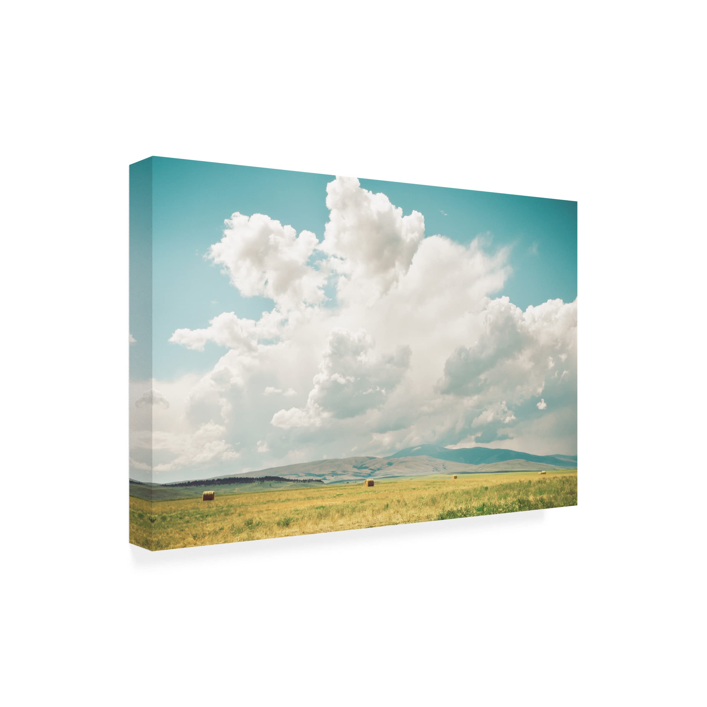 Annie Bailey Art 'First Cut' Canvas Wall Art - Modern Abstract Painting for Living Room, Bedroom & Office Decor