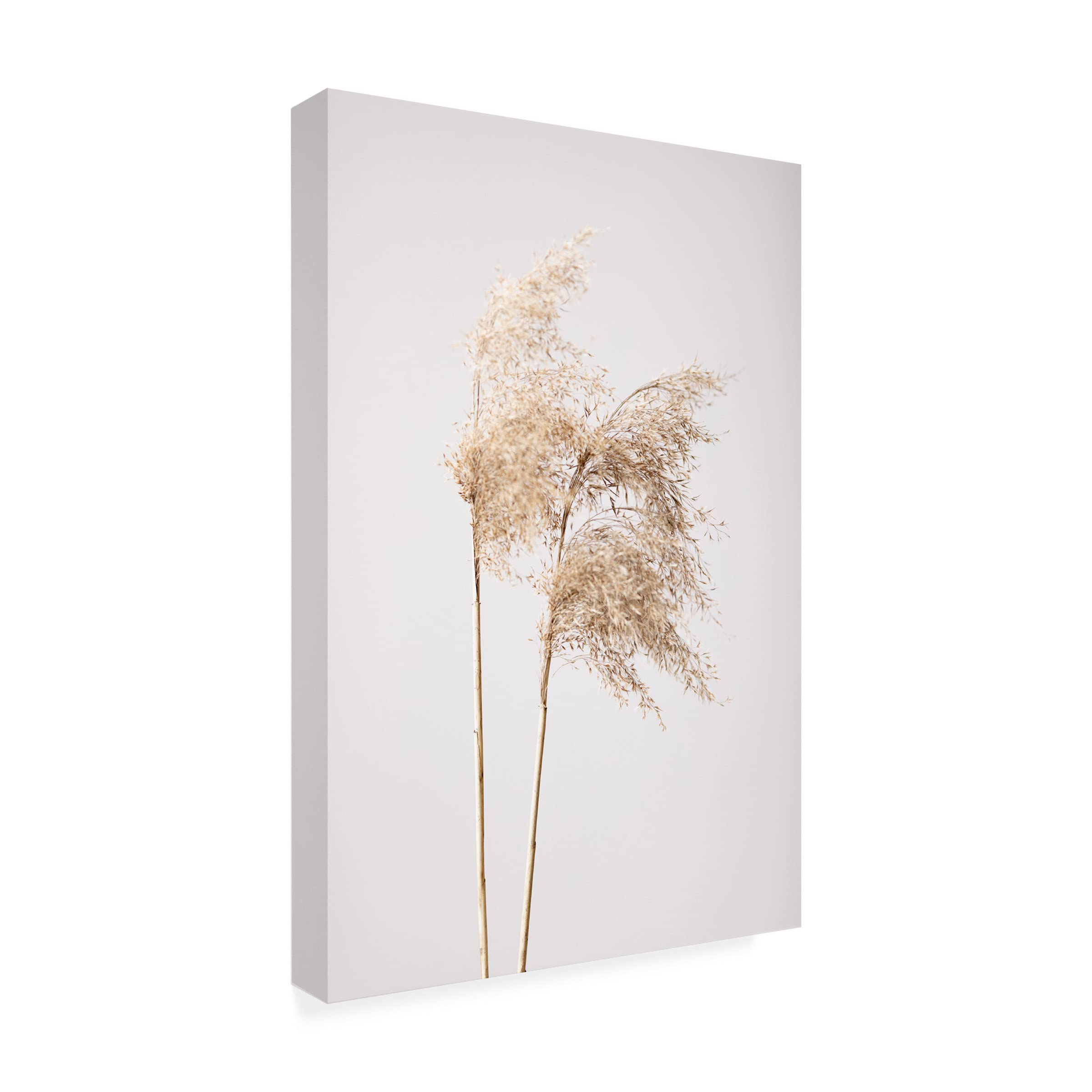 Reed Grass Grey 02 Canvas Wall Art Print - Modern Nature Landscape Painting for Home & Office Decor - Perfect for Living Room, Bedroom or Office Spaces