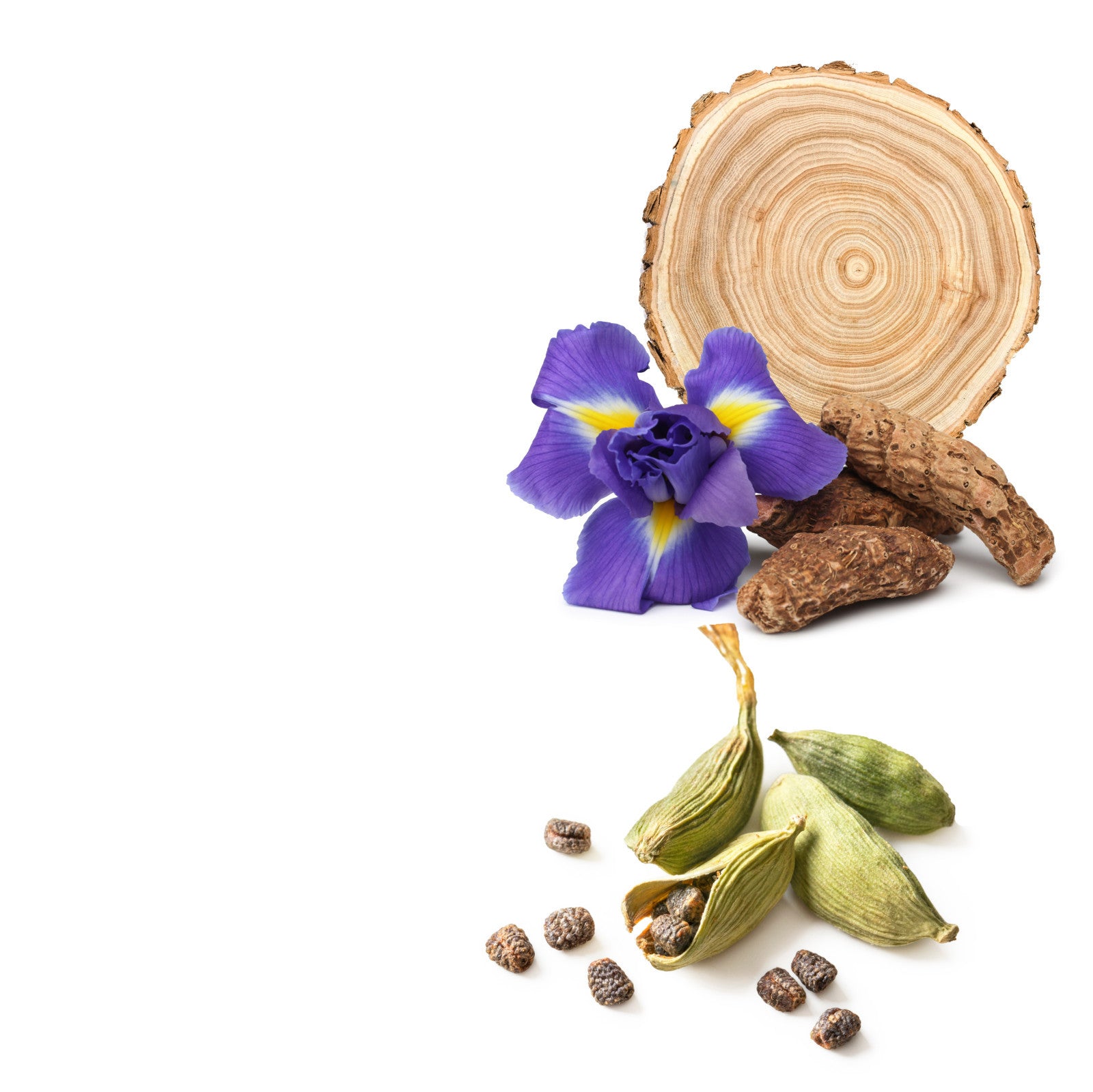 Premium Sandalwood Fragrance Oil for Diffusers - Inspired by Le Labo Santal 33 - Aromatherapy Essential Oil for Home, Office & Spa Relaxation