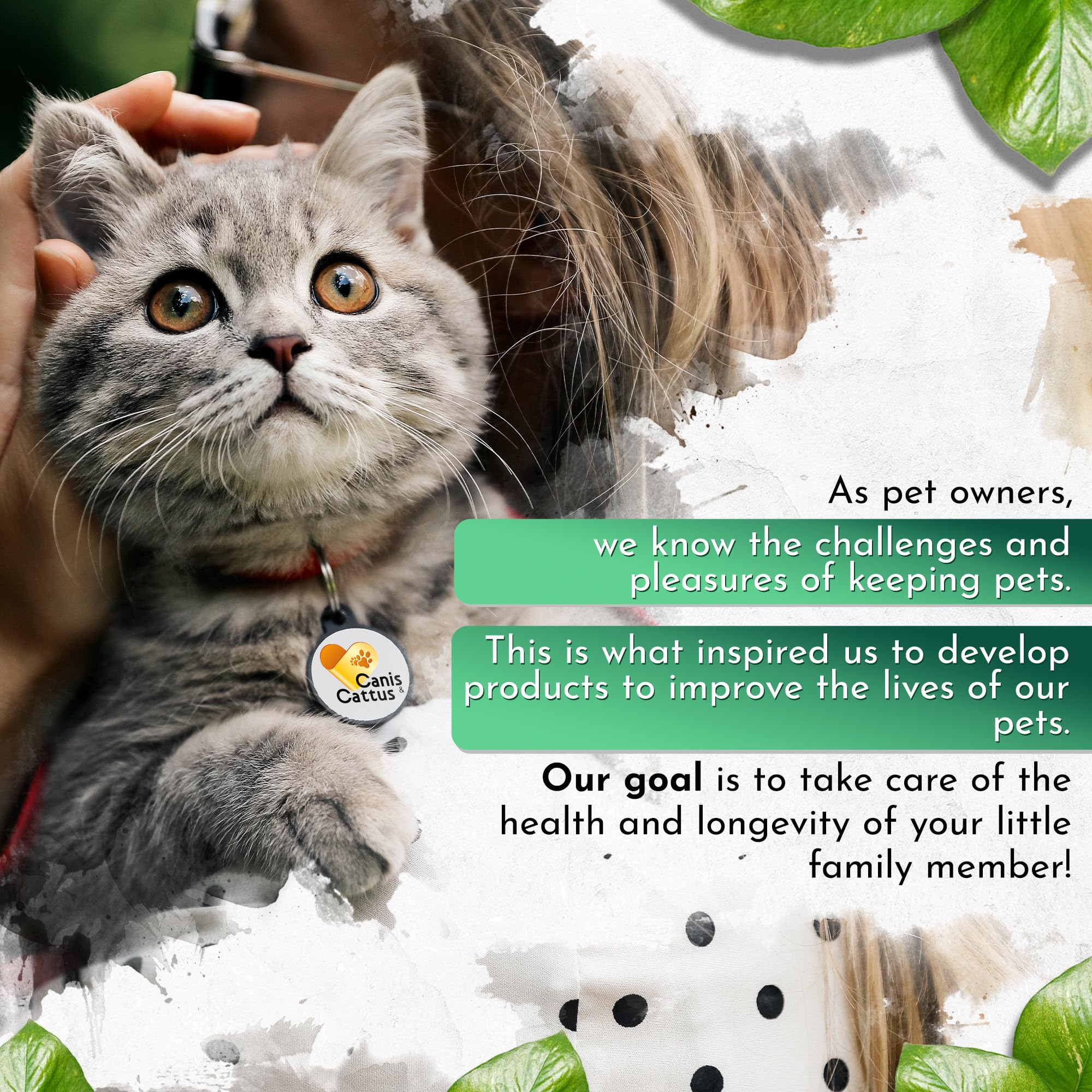 Organic Pet Probiotics for Cats & Dogs - Digestive Health Supplement (1 oz) | Supports Gut Health & Immunity - Ideal for Travel, Diet Changes & Daily Wellness