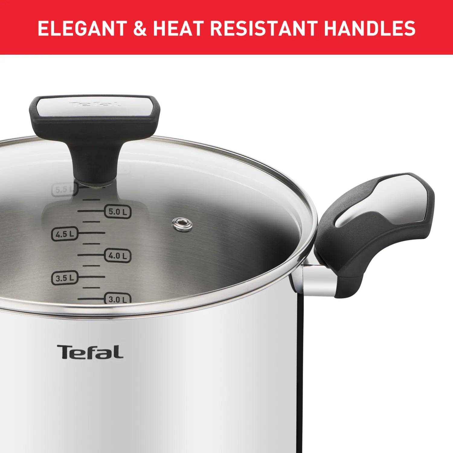 Tefal Emotion Induction Stainless Steel Stockpot 22cm/6L - Premium Cookware for Soups, Stews & Pasta - Perfect for Family Dinners & Entertaining
