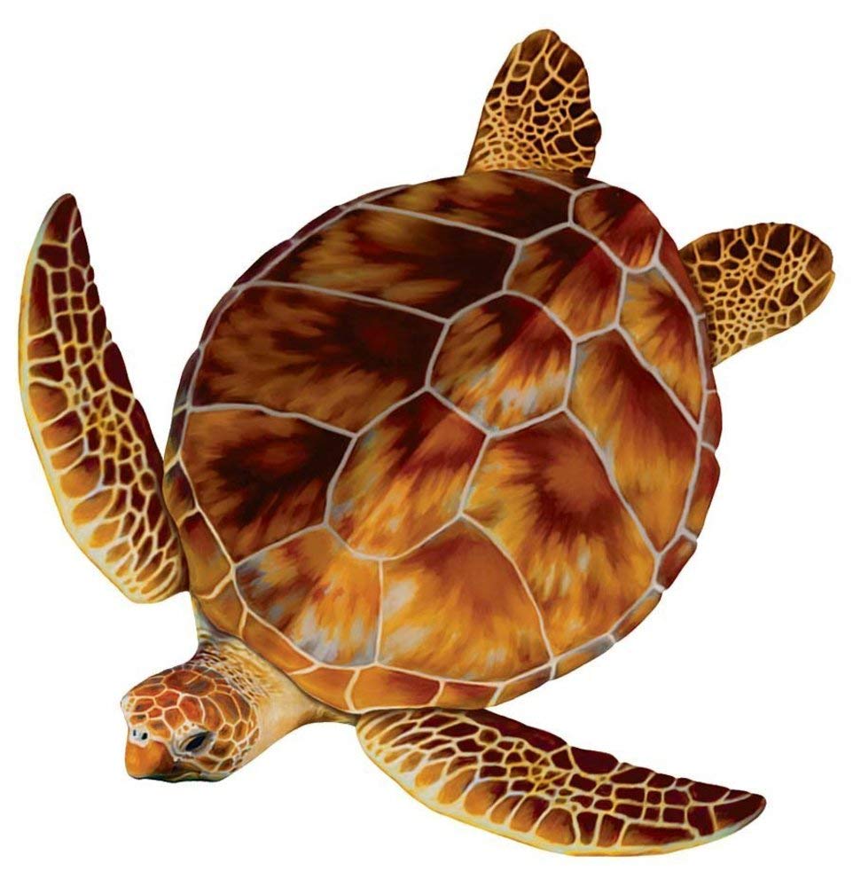 Loggerhead Turtle Porcelain Swimming Pool Mosaic Tile - 18