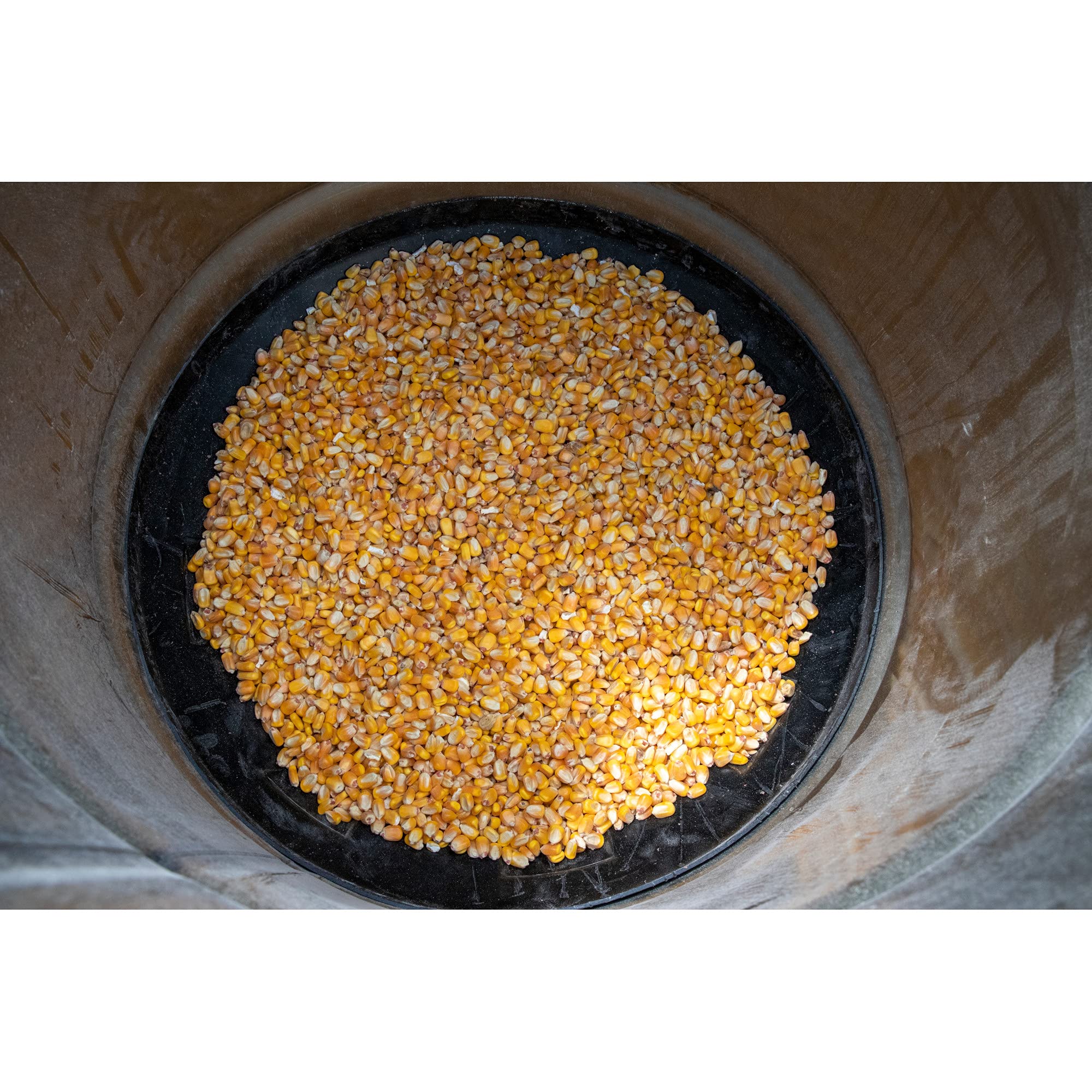 Moultrie Internal Funnel for Deer Feeders - Durable Hunting Accessory for Wildlife Feeding Stations & Game Cameras - Perfect for Hunting Season & Wildlife Observation