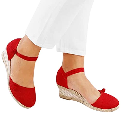 Zz12-red