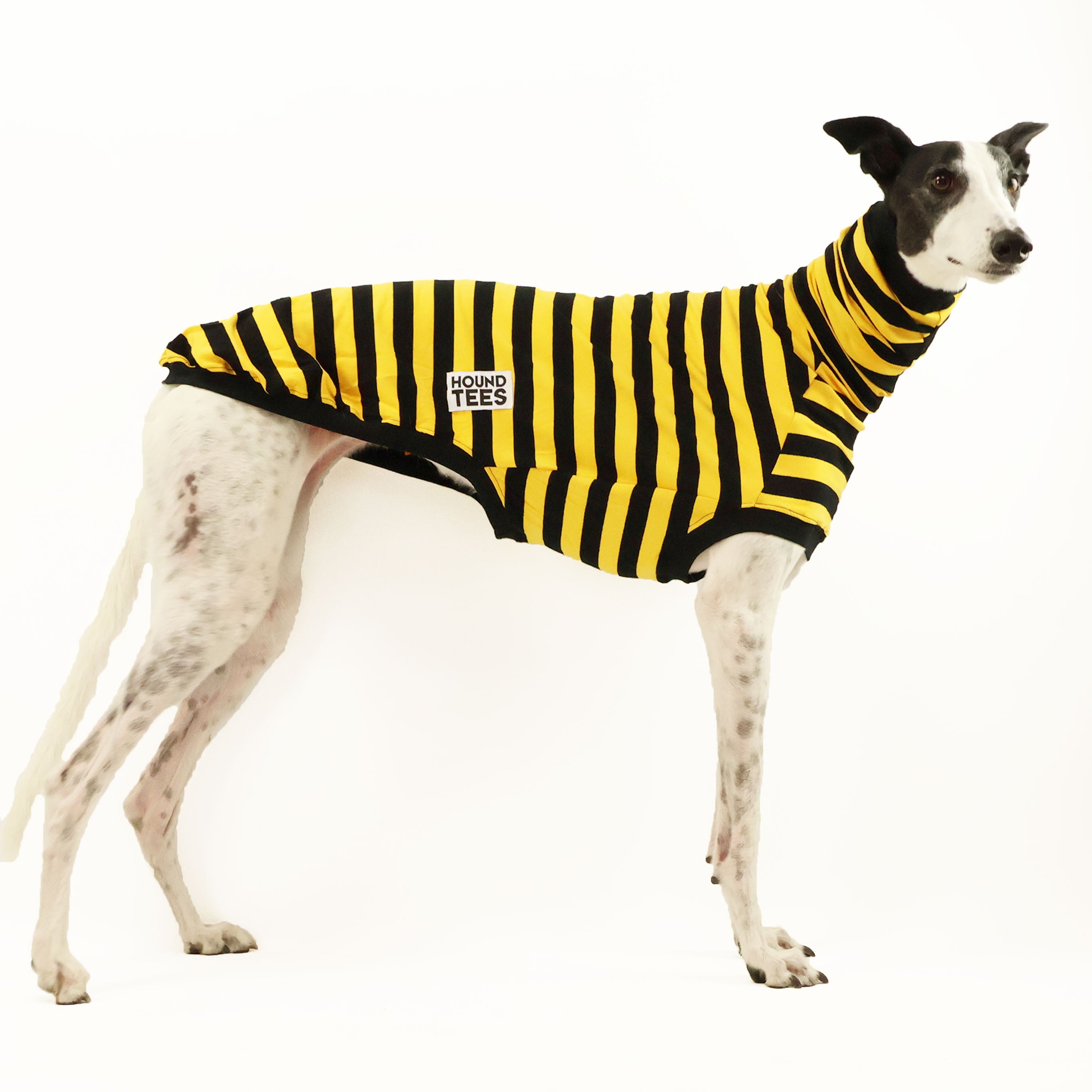 Odlaw Greyhound Sleeveless Hound T-Shirt for Men - Comfortable Dog Lover Apparel for Casual Wear, Running & Outdoor Activities