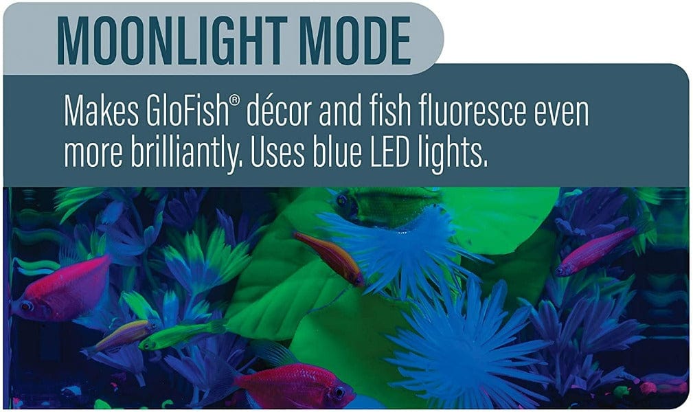 GloFish Color Changing LED Aquarium Light - Enhance Your Fish Tank with Vibrant Colors | Perfect for Freshwater & Saltwater Tanks, Night Viewing & Mood Lighting