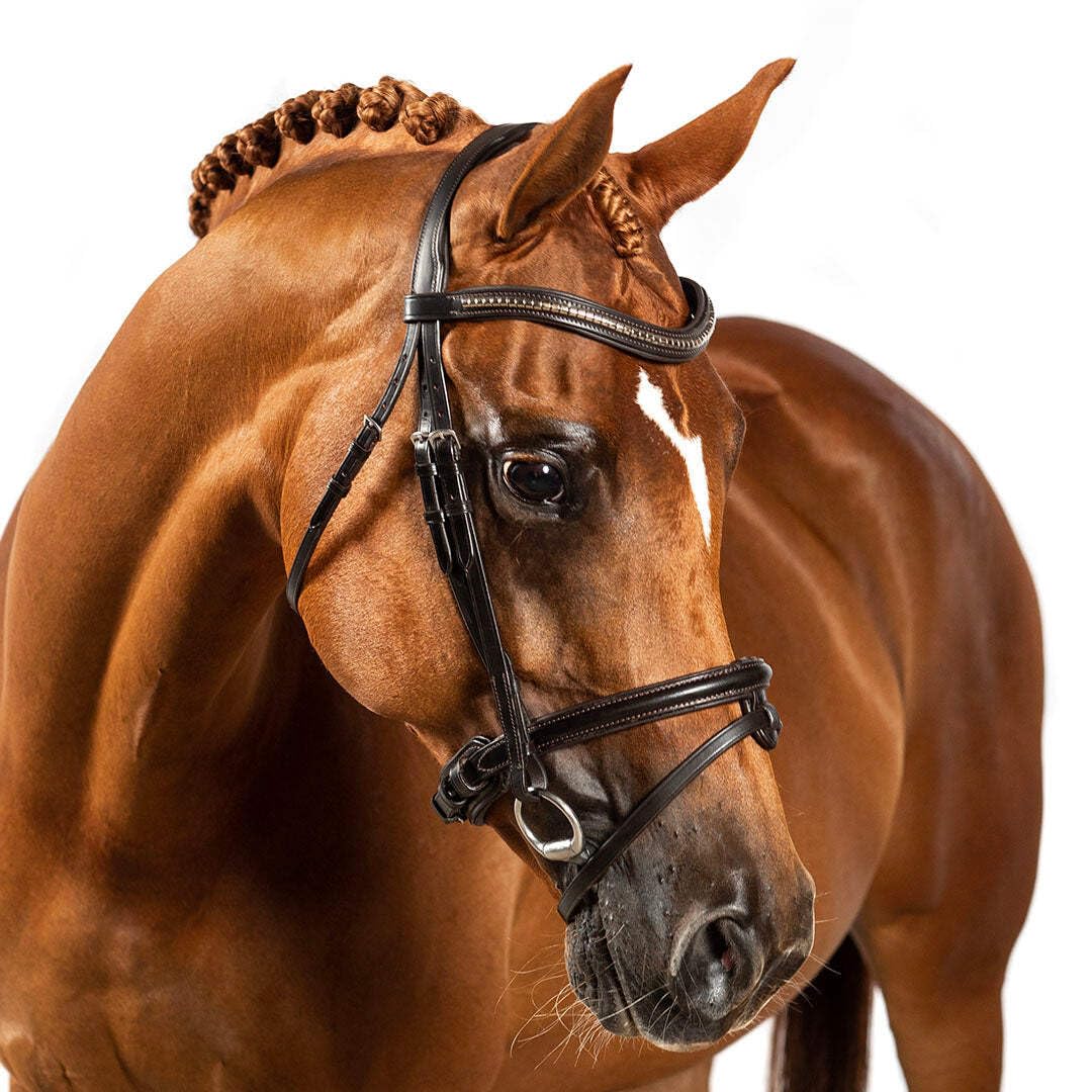 Stainless Steel Clincher Wave Gel Browband - Havana Brown for Equestrian Riding & Horse Training | Comfortable & Secure Fit for Dressage, Jumping & Trail Riding
