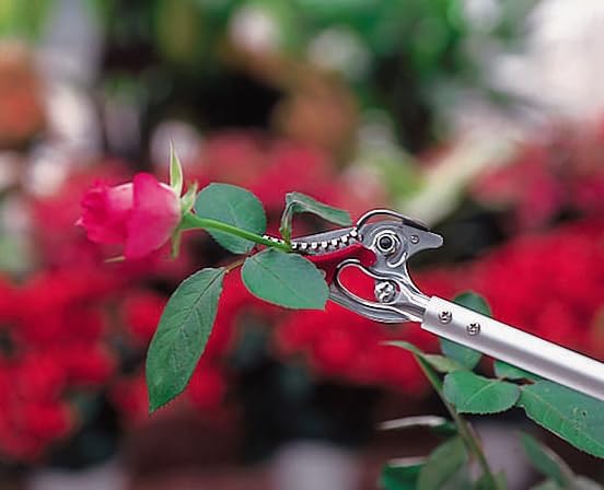 ARS Professional Rose Pruner - 24 Inch Garden Shears for Precise Flower Trimming | Perfect for Rose Bushes, Shrubs & Garden Maintenance | Heavy Duty Gardening Tool for Landscaping & Floral Arrangements