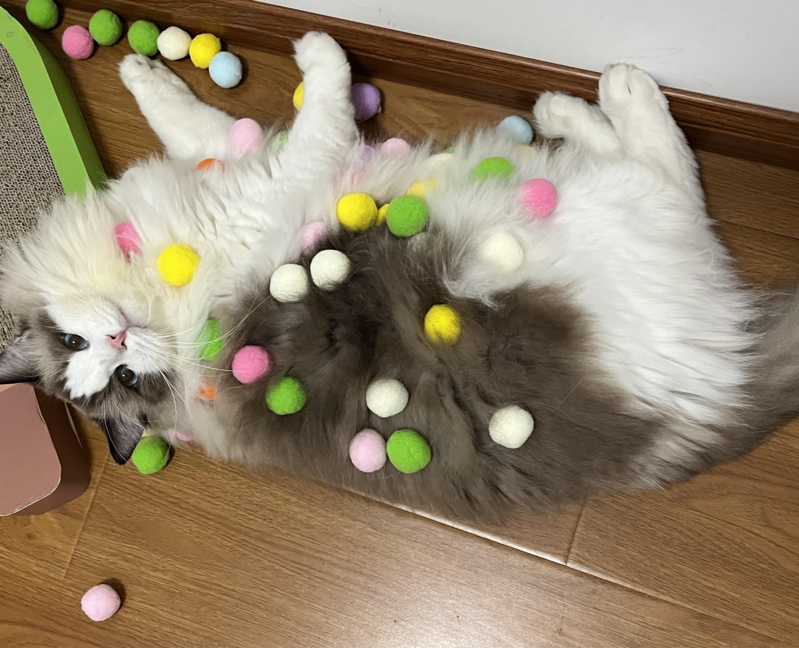 100Pcs 1.2Inch Soft Cat Pompom Balls with Launcher - Colorful Interactive Cat Toys for Indoor Play, Exercise & Training - Perfect for Kittens, Adult Cats & Multi-Cat Households