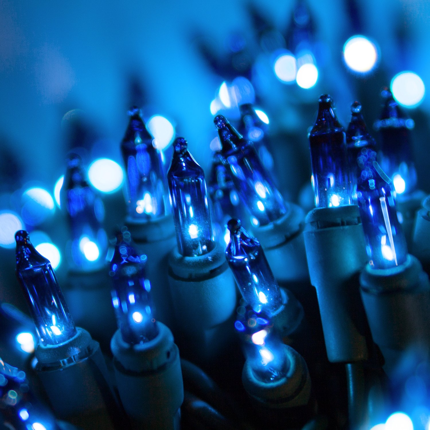 Colorful Mini Christmas Lights - 100 LED String Lights for Indoor & Outdoor Holiday Decor (Blue, 50.5ft)