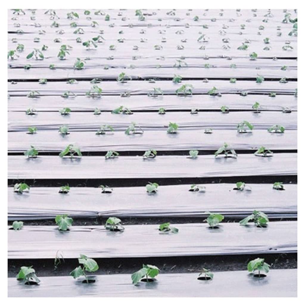 Premium Black PE Plastic Mulch Film for Agricultural Greenhouse, Garden & Fruit Trees - Weed Control, Warmth & Waterproof (60cm Wide x 0.8mm Thick x 1000m Long) - Ideal for Crop Protection, Soil Temperature Regulation & Moisture Retention in Farming & Gardening