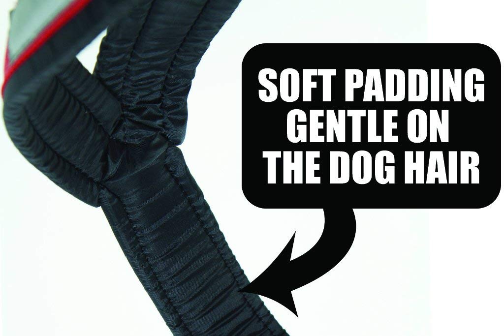 Neewa Sled Pro Harness (Small, Red) - Durable X-Back Dog Pulling Harness for Huskies & Active Dogs | Perfect for Dog Sledding, Canicross, Bikejoring, Skijoring & Outdoor Adventures | Comfortable Mushing Harness for Training & Exercise