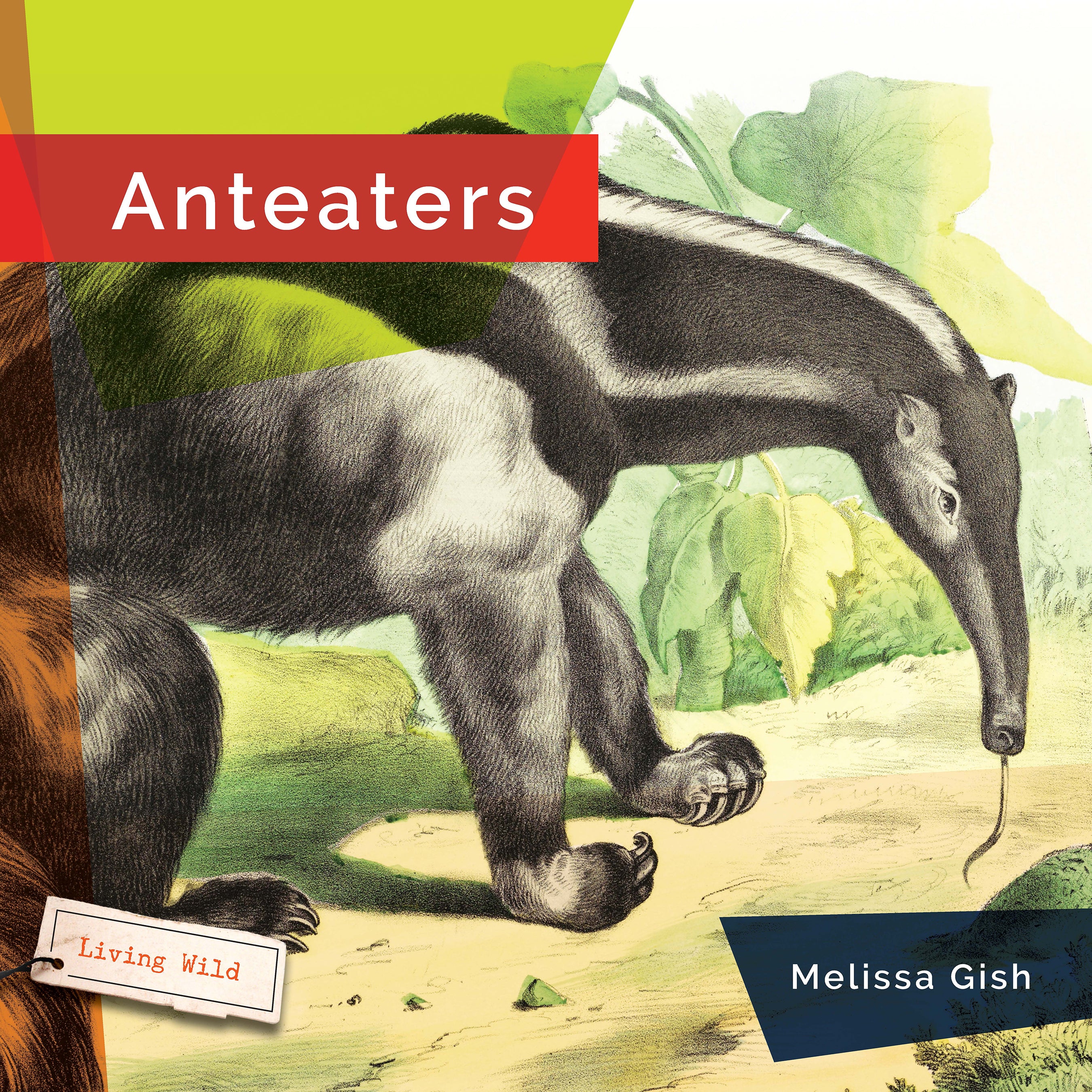 Anteaters Book 9781640267701 - Learn About Anteaters, Their Habitat & Behavior - Perfect for Kids, Animal Lovers & Science Enthusiasts