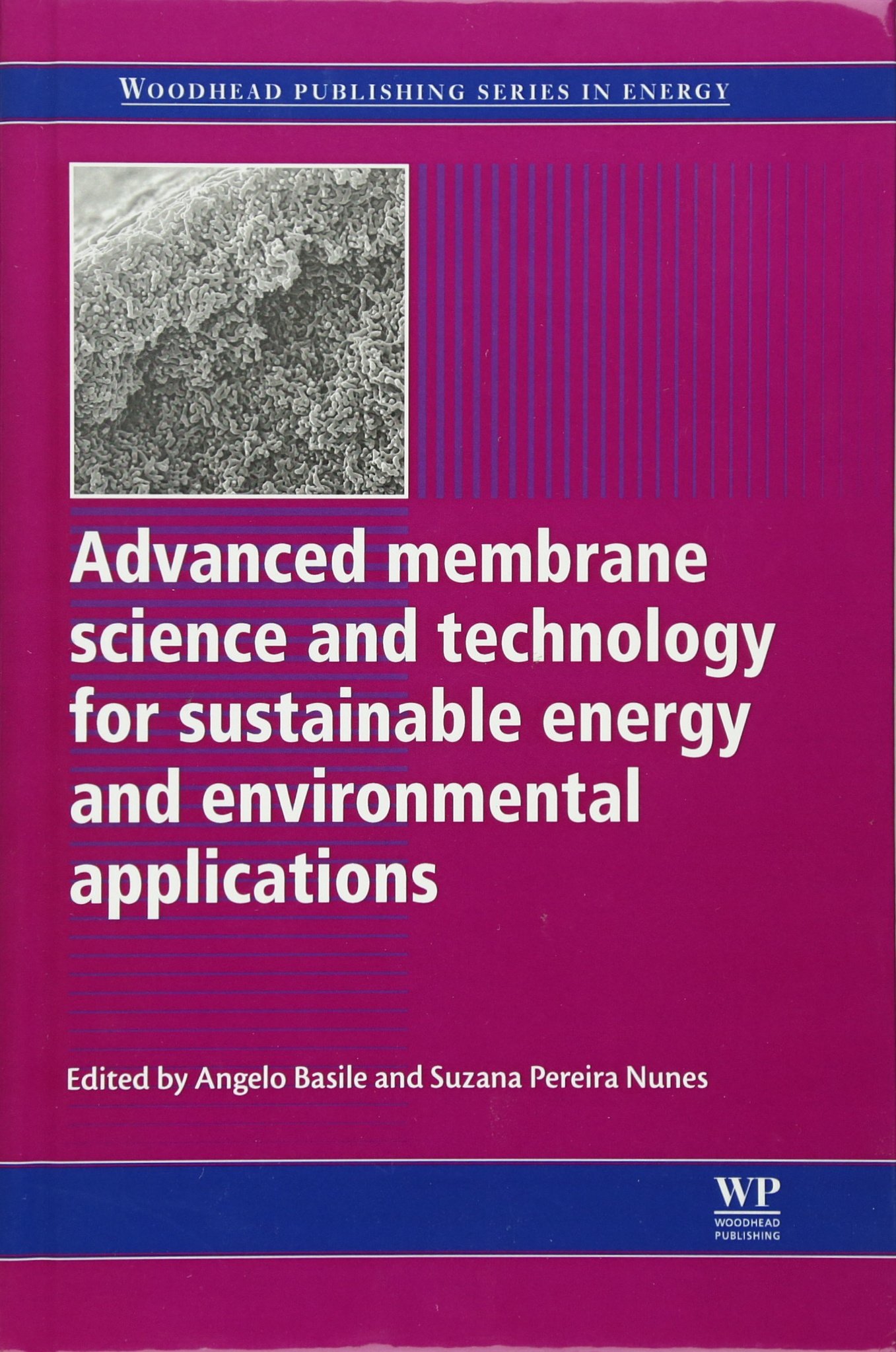 Advanced Membrane Science and Technology for Sustainable Energy Solutions | Water Purification & Environmental Applications | Research & Industrial Use (Woodhead Publishing Series in Energy)