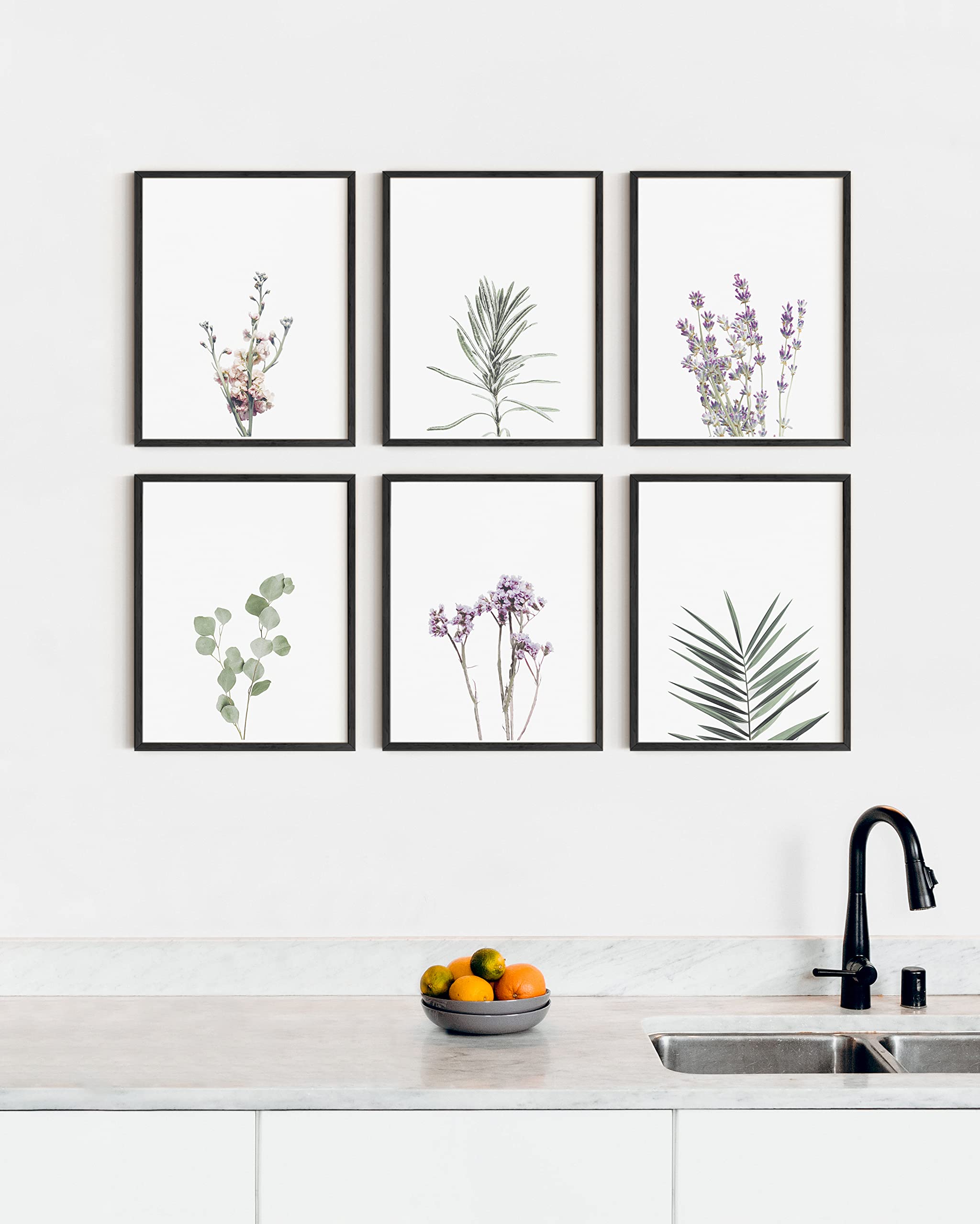 HAUS AND HUES Set of 6 Floral & Botanical Prints - 11x14 Black Framed Wall Art | Wildflower Posters, Plant Decor for Living Room, Bedroom & Office