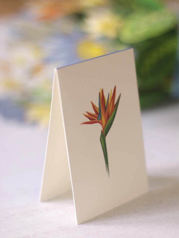 Beautiful Garden Favorites Greeting Card with Flower Bouquets - Perfect for Birthdays, Anniversaries & Special Occasions