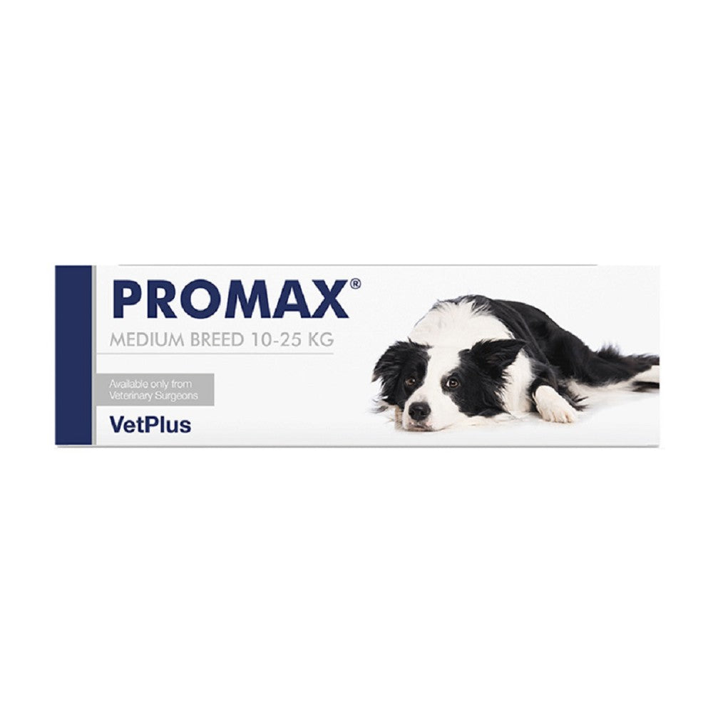 Vetplus Promax for Dogs - Premium Dog Supplement for Joint Health & Mobility - Supports Active & Senior Dogs - Ideal for Daily Use & Outdoor Activities