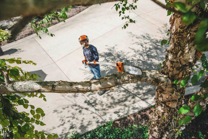 STIHL HT 135 Telescopic Pole Pruner - 12.5 ft Extendable Tree Trimmer with 2-Cycle Engine - Perfect for Tree Branch Cutting, Landscaping & Garden Maintenance