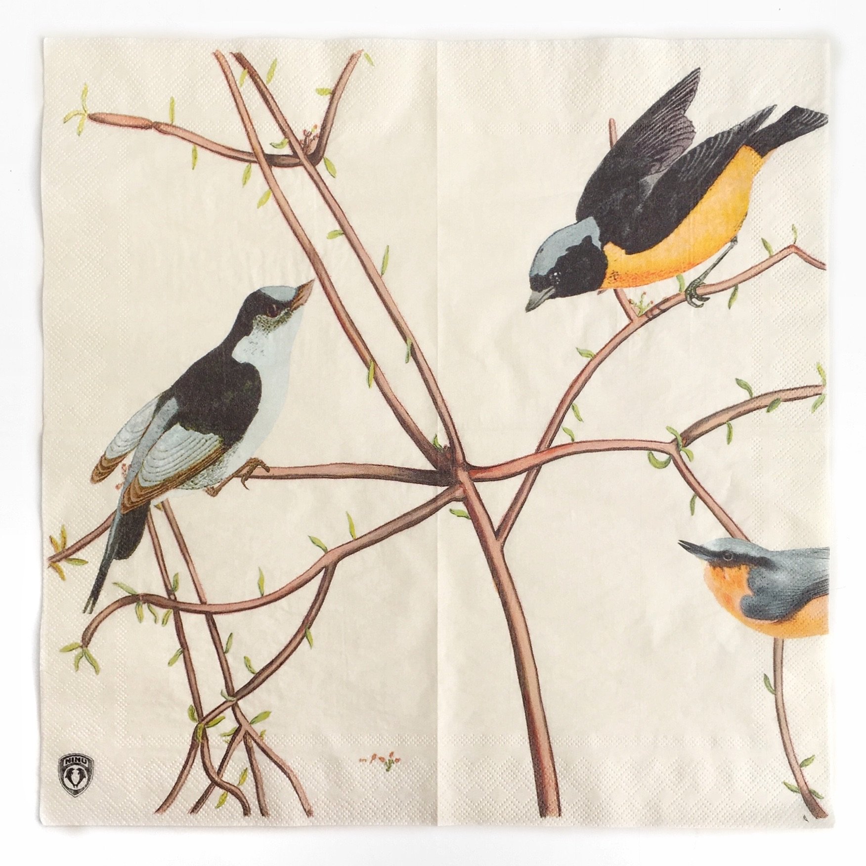 Vintage Floral Paper Napkins - 20 Count Shabby Chic Disposable Napkins for Wedding, Bridal Shower, Tea Party & Dinner Decor (Spring Birds Retro Vine Design) - Perfect for Spring Celebrations, Baby Showers & Elegant Table Settings