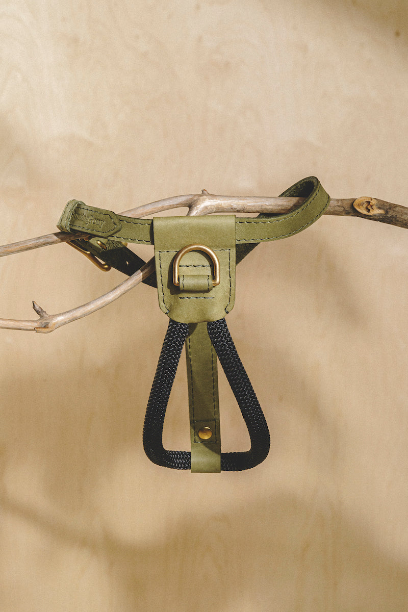 Premium Adjustable Dog Harness for Small & Medium Dogs - Pony Makarony Green - Comfortable & Secure Pet Vest for Walking, Running, Hiking & Outdoor Adventures