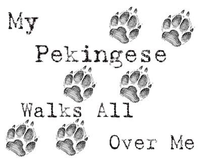 My Pekingese Walks All Over Me Funny Dog Lover T-Shirt - Cute Pekingese Owner Gift for Women & Men - Perfect for Dog Parks, Walks & Pet Lovers