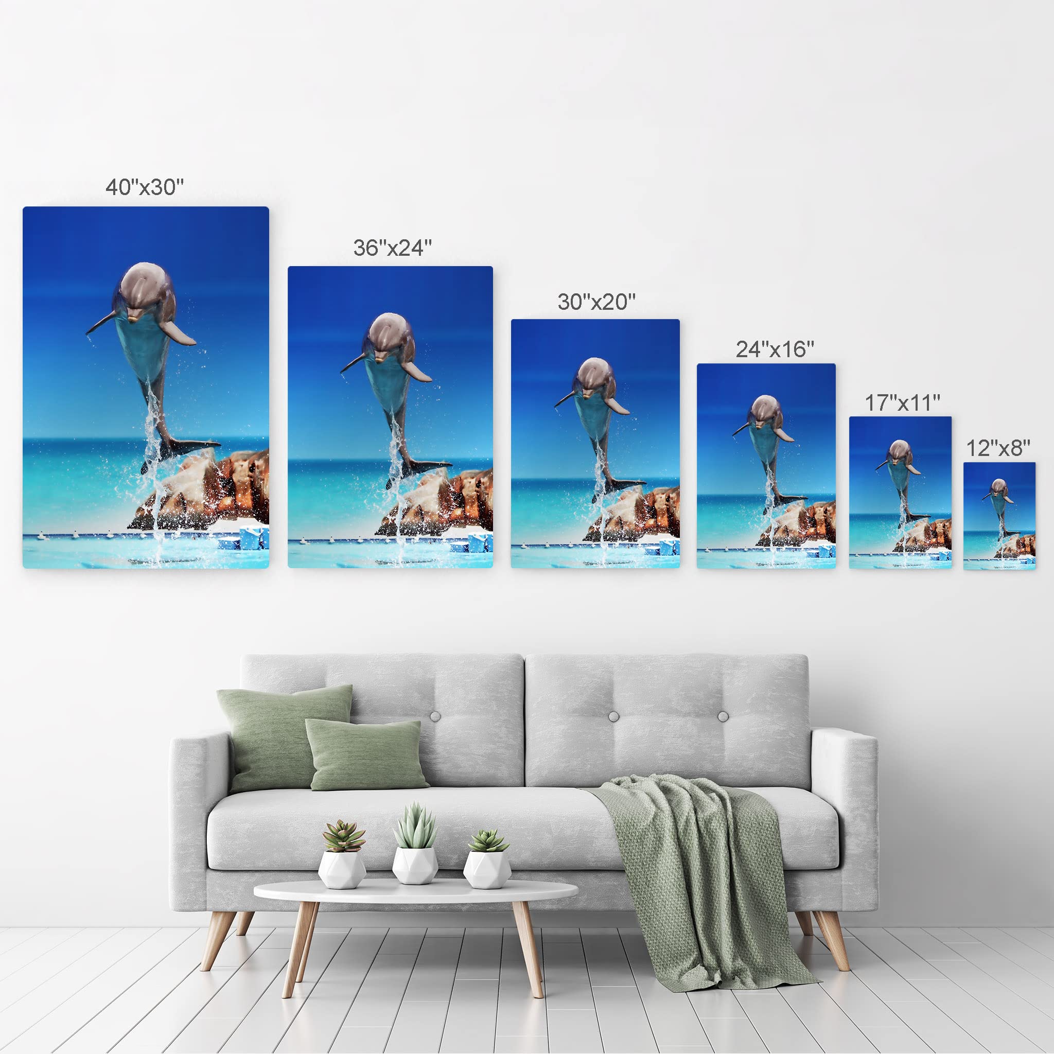 Dolphin Metal Wall Art Print - Blue Sky Marine Animal Portrait for Coastal & Nautical Decor | Ocean-Themed Home & Office Decor | Perfect for Living Room, Bedroom, Nursery & Kids Room | Made in USA - 40x30 Inches