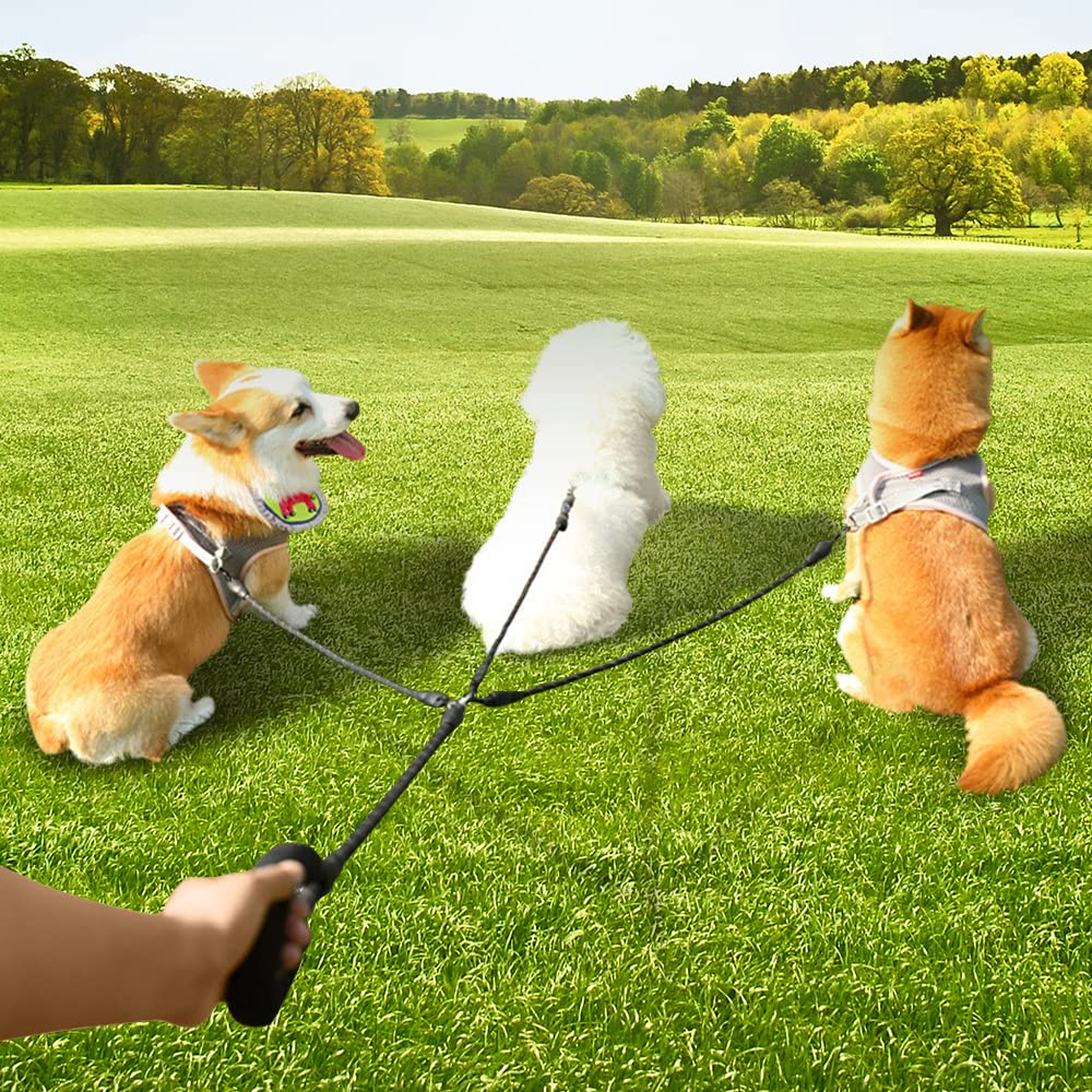 3-in-1 Reflective Dog Leash Set - Tangle-Free 360° Swivel Training Leash for Small, Medium & Large Dogs (Black) - Perfect for Walking, Jogging & Outdoor Adventures