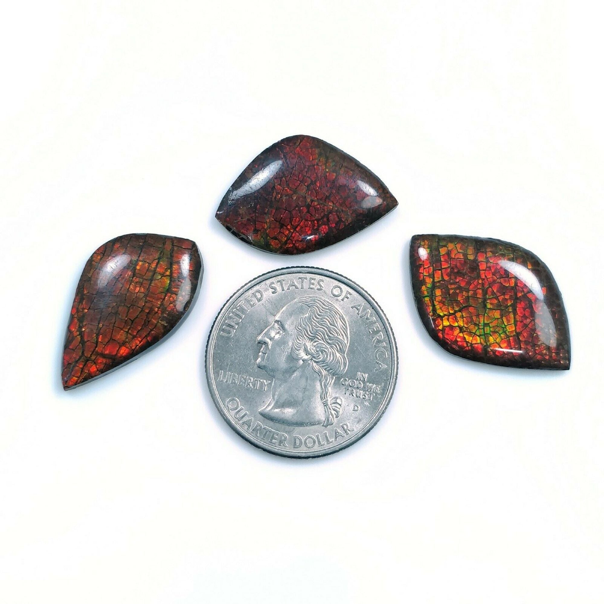 Natural AMMOLITE Gemstone Cabochon - Bi-Color Fossilized Shell, 23.5x15mm & 26x16mm, Handmade Jewelry Making, Unique Uneven Shape - Perfect for Rings, Pendants & DIY Craft Projects