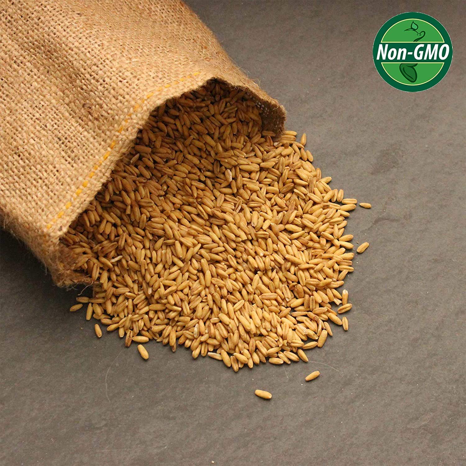Organic Whole Oat Groats 3.5 Lb - Non-GMO, Gluten Free, with Husk - Perfect for Sprouting, Steel Cut Oats, Oat Berries, Oat Flour, Oat Rice & Livestock Feed - Ideal for Healthy Breakfast, Baking & Animal Nutrition
