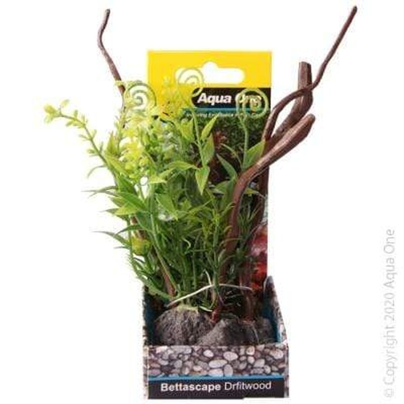 Aqua One Bettascape Spinning Grove Driftwood Green 18cm - Natural Aquarium Decoration for Fish Tanks, Perfect for Betta Fish Habitat & Aquatic Plant Scaping