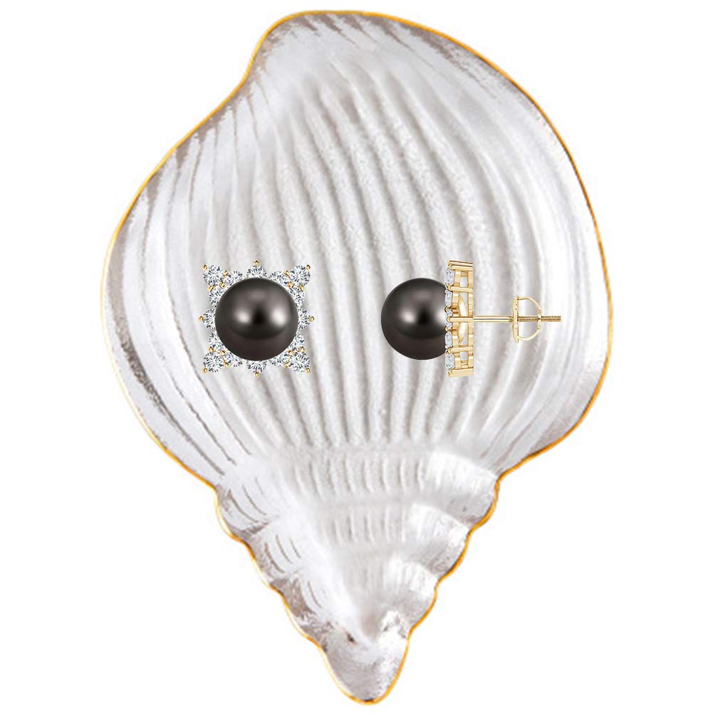 Elegant Clear Glass Dessert Plates & Salad Bowls - Decorative Ocean Conch Jewelry Tray, Ring Dish Holder for Wedding, Valentine's Day | Perfect for Serving Fruits, Vegetables, Biscuits & Party Appetizers