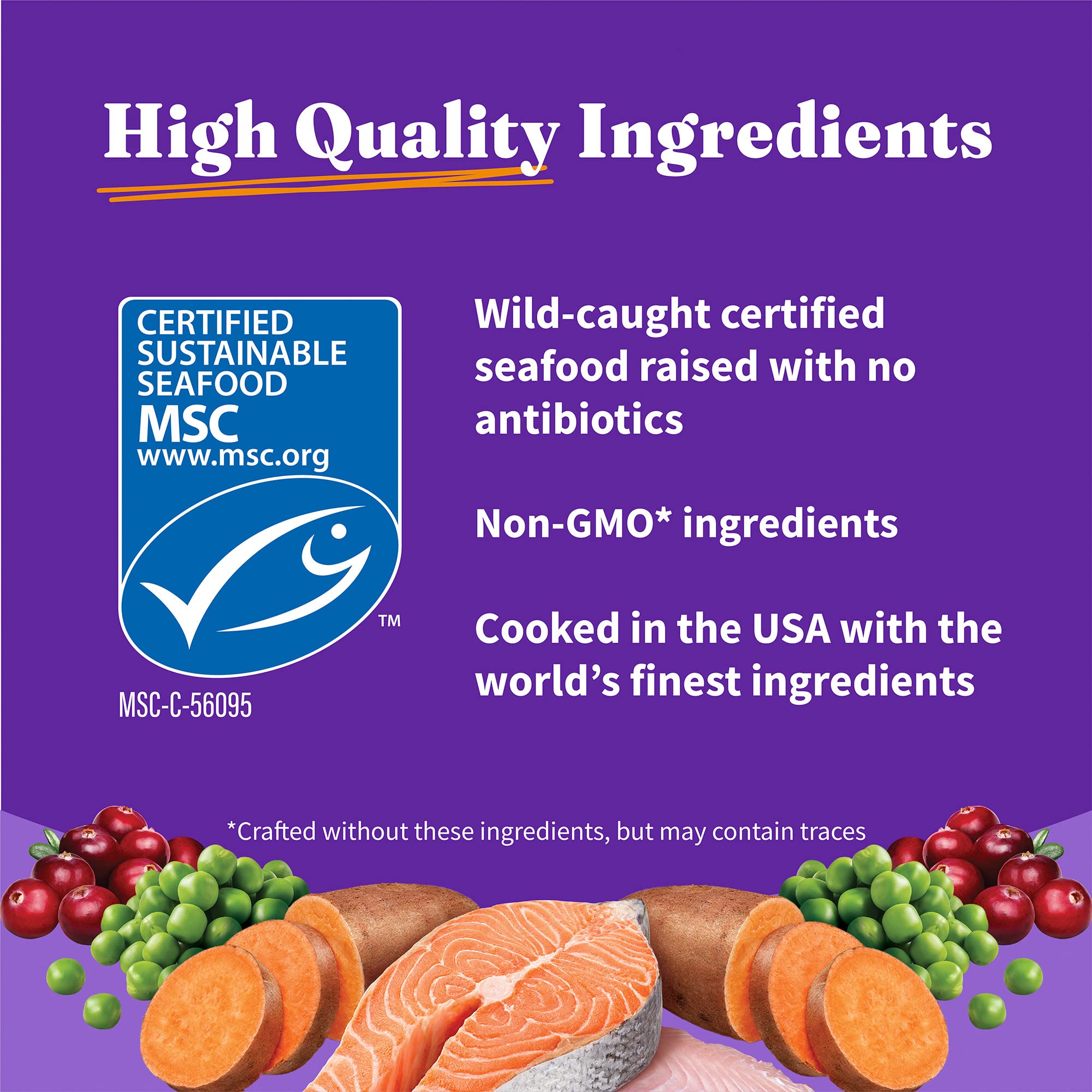 Halo Holistic Grain-Free Kitten Dry Food - Wild Caught Salmon & Whitefish Recipe for Complete Digestive Health - 10 lb Bag - Perfect for Growing Kittens & Sensitive Stomachs